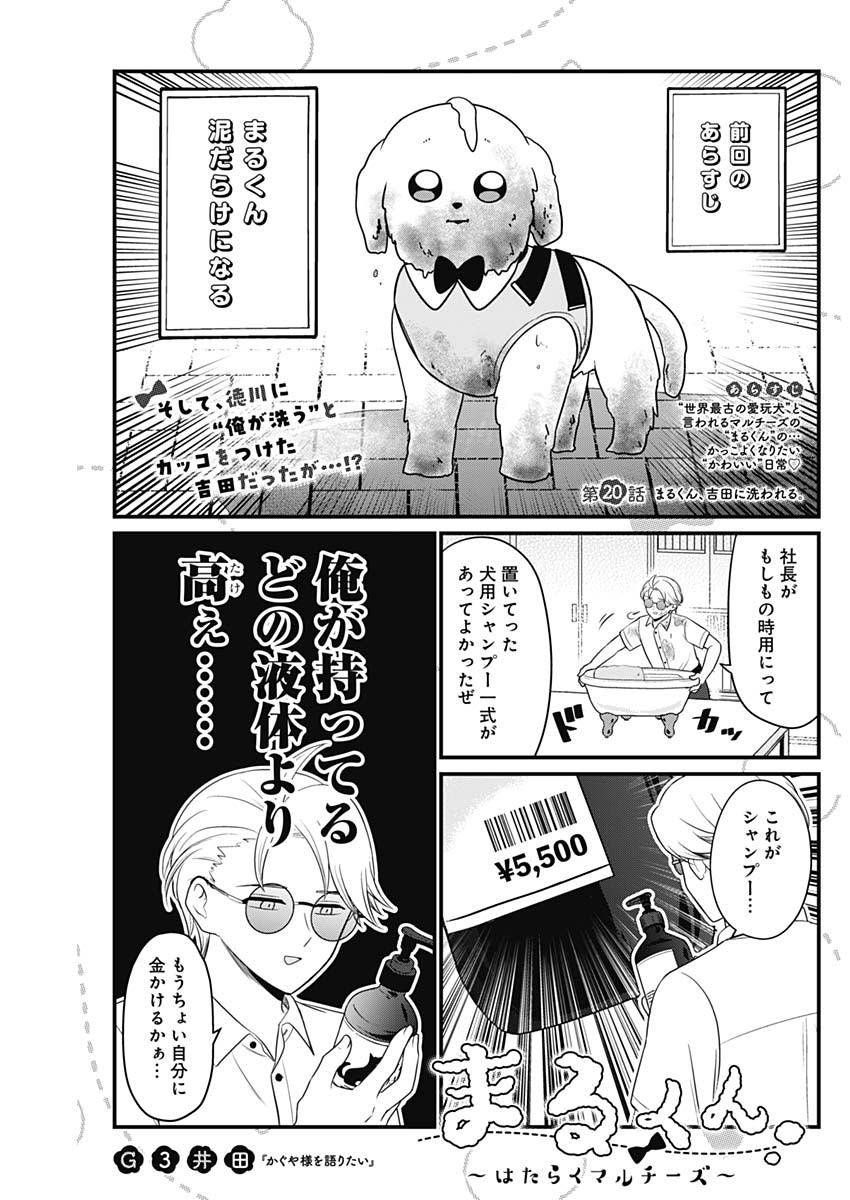 まるくん～はたらくマルチーズ～ 第20話 - Page 1