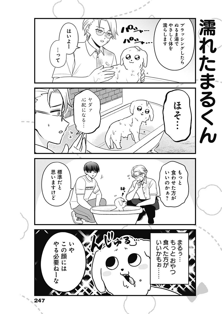 まるくん～はたらくマルチーズ～ 第20話 - Page 5