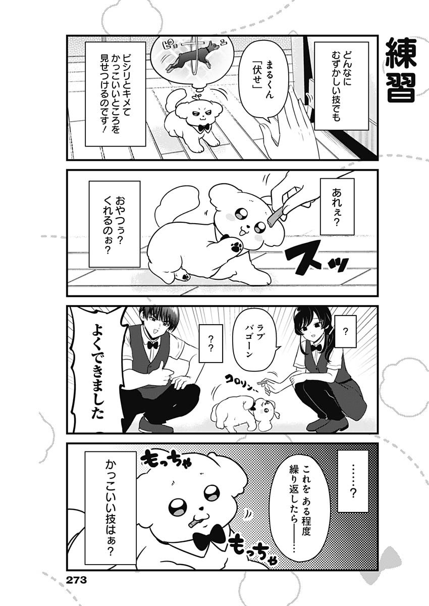 まるくん～はたらくマルチーズ～ 第10話 - Page 7