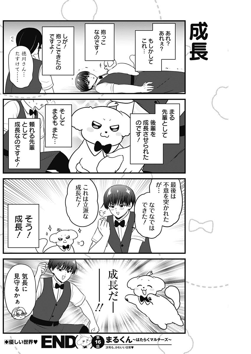 まるくん～はたらくマルチーズ～ 第16話 - Page 8