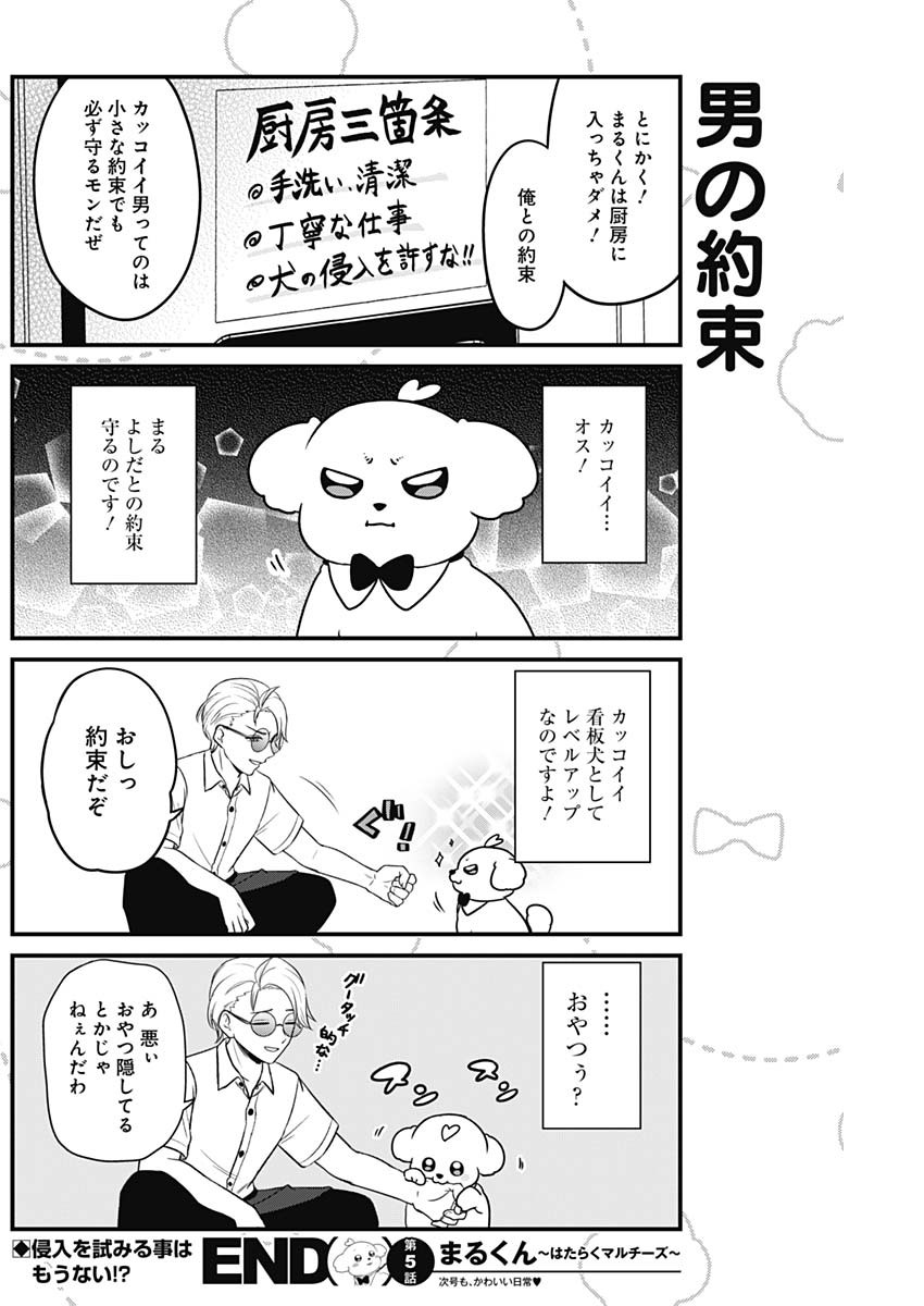 まるくん～はたらくマルチーズ～ 第5.5話 - Page 4