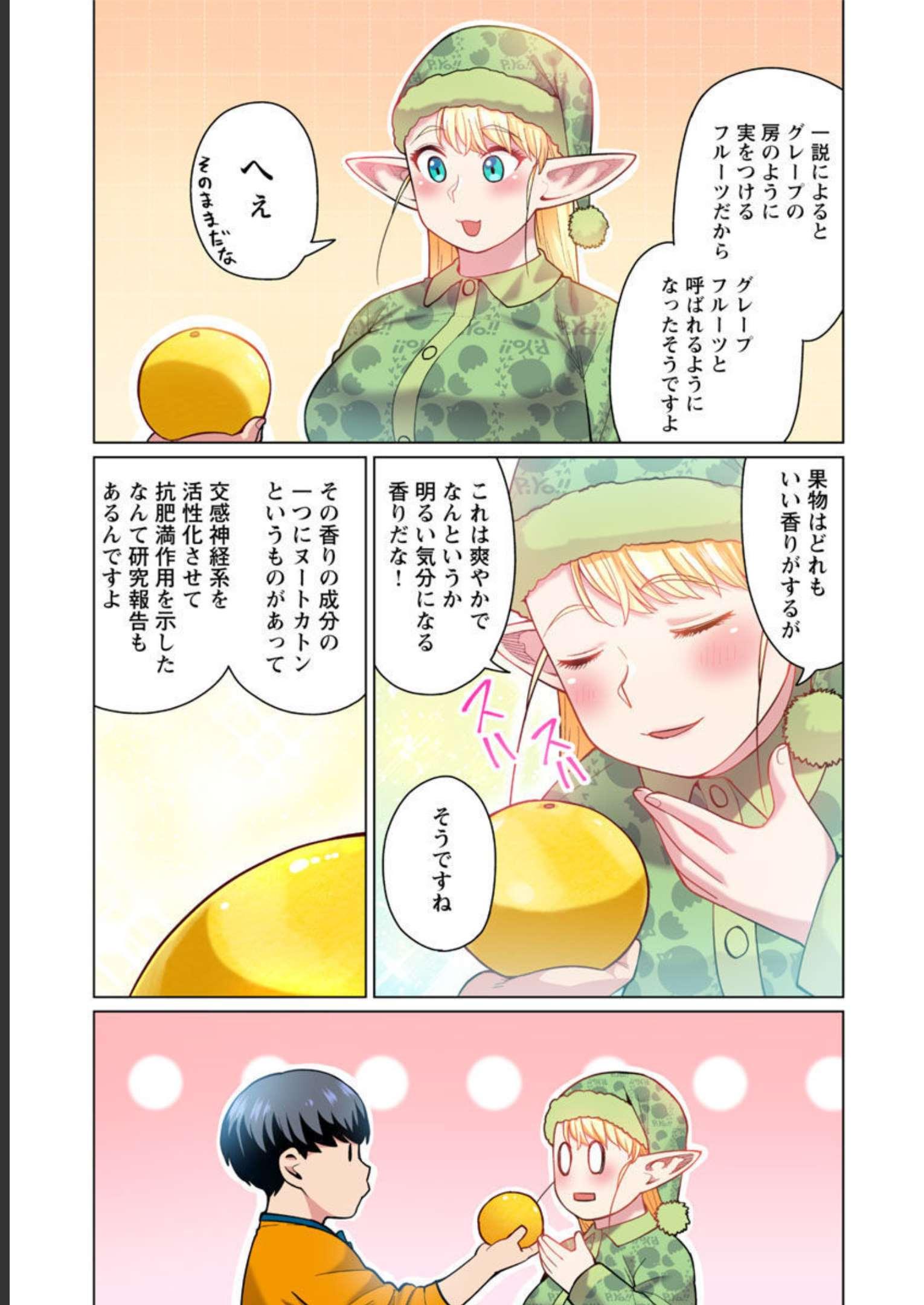 エルフさんは痩せられない。 第48話 - Page 16