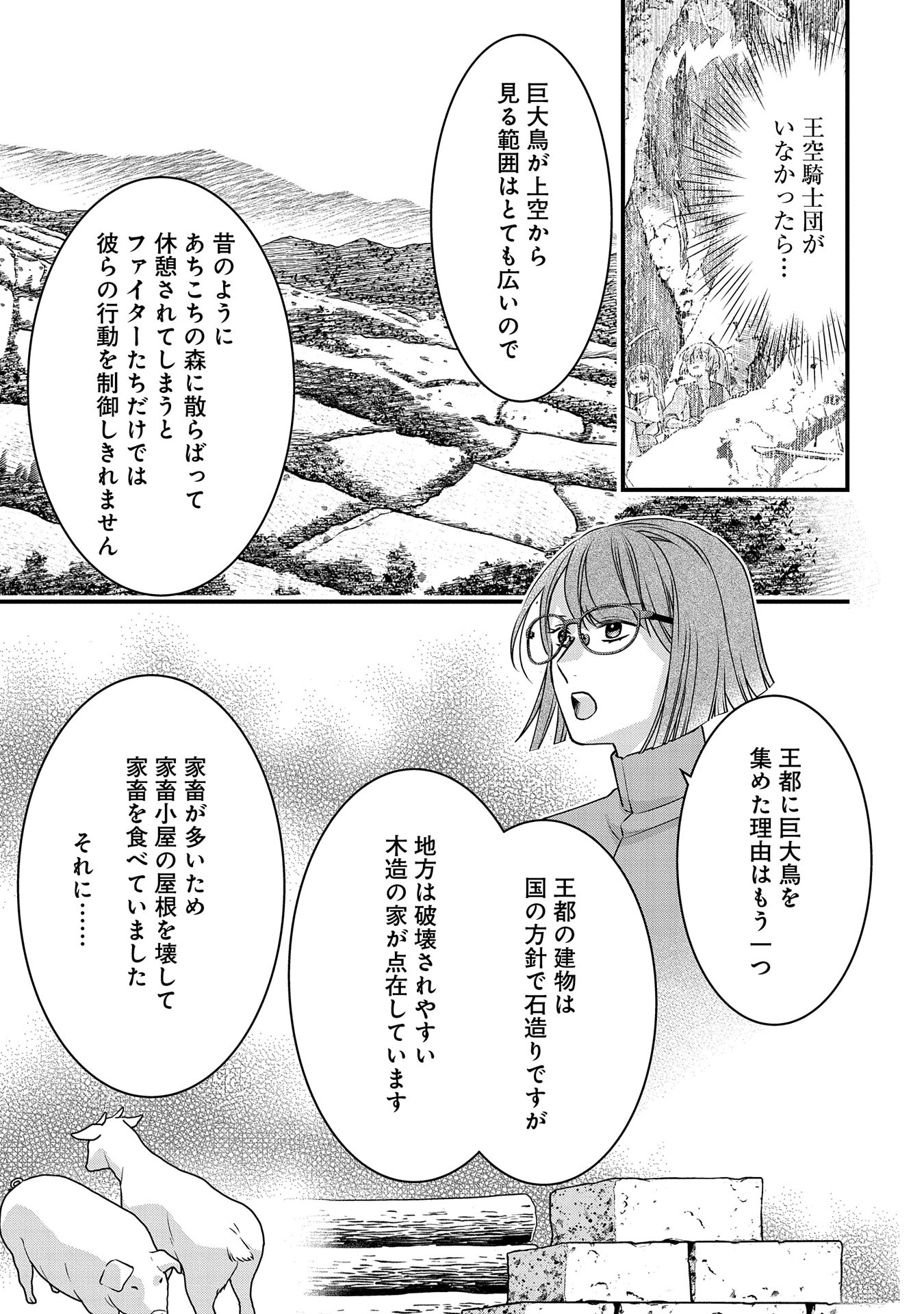 王空騎士団と救国の少女～空を飛ぶ少女アイリスの物語～ 第3話 - Page 19