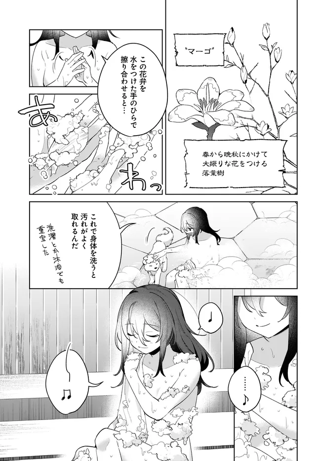 薬売りの聖女 ～冤罪で追放された薬師は、辺境の地で幸せを掴む～ 第6.1話 - Page 9