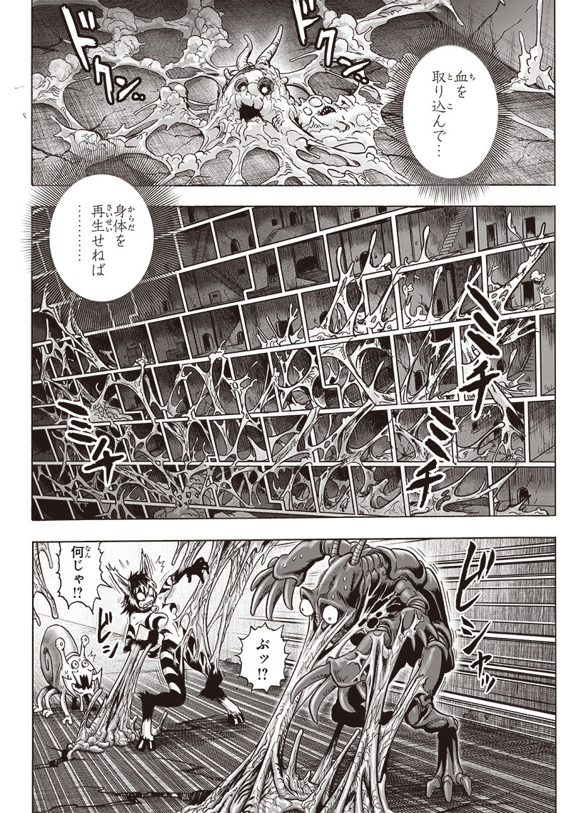 ワンパンマン 第170話 - Page 17