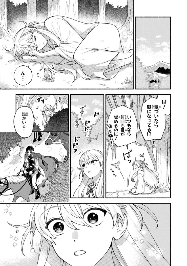 前世冷徹王子の馬でした ～人になっても貴方を愛していいですか？～ 第1話 - Page 13