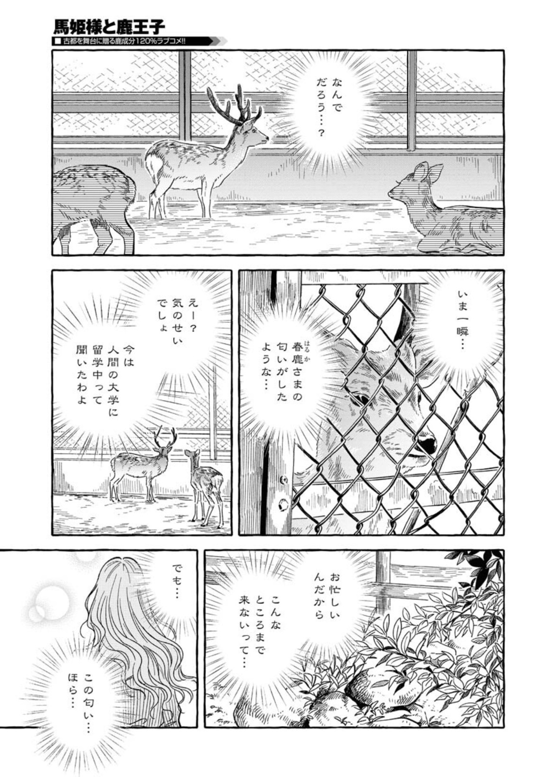 馬姫様と鹿王子 第22話 - Page 23